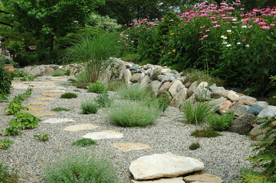 Drought Friendly Landscape, Stepping Stones Pathway