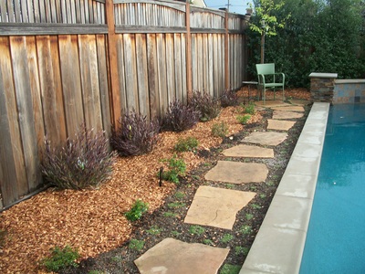 Stepping Stone Pathway, Drought Friendly Landscape