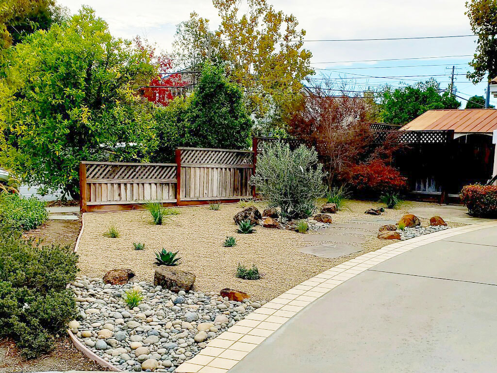 A side yard in Los Gatos, Ca, landscaped with drought-tolerant plants.