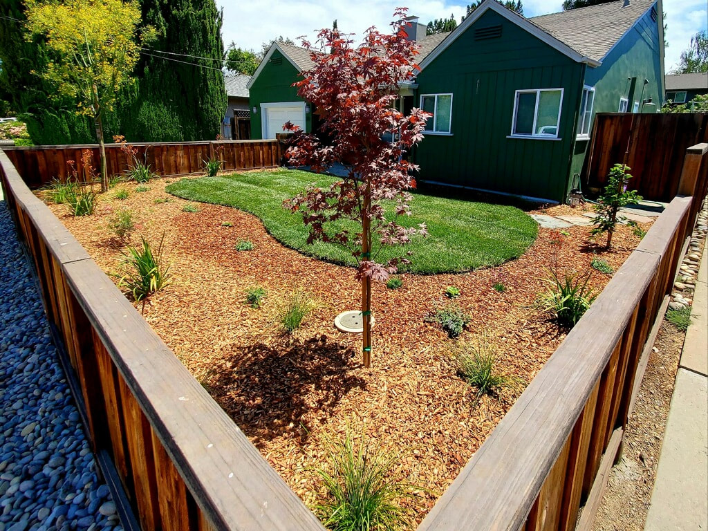 New Landscaping with a reduced size drought friendly type sod lawn plantings and mulch