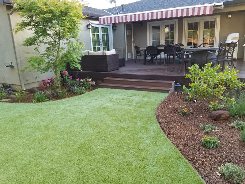 Sod and Synthetic Grass