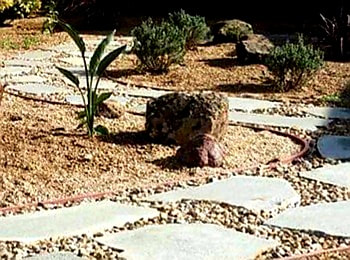 Stepping stones and Gravel pathway, Drought Friendly Landscape