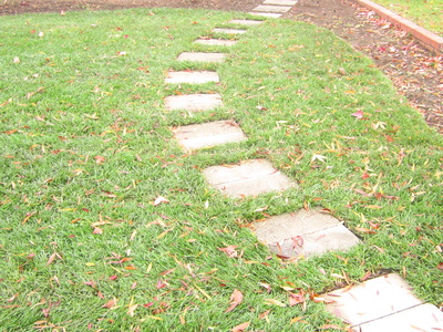 Stepping Stones Pathway