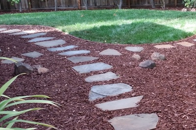Stepping Stones Pathway