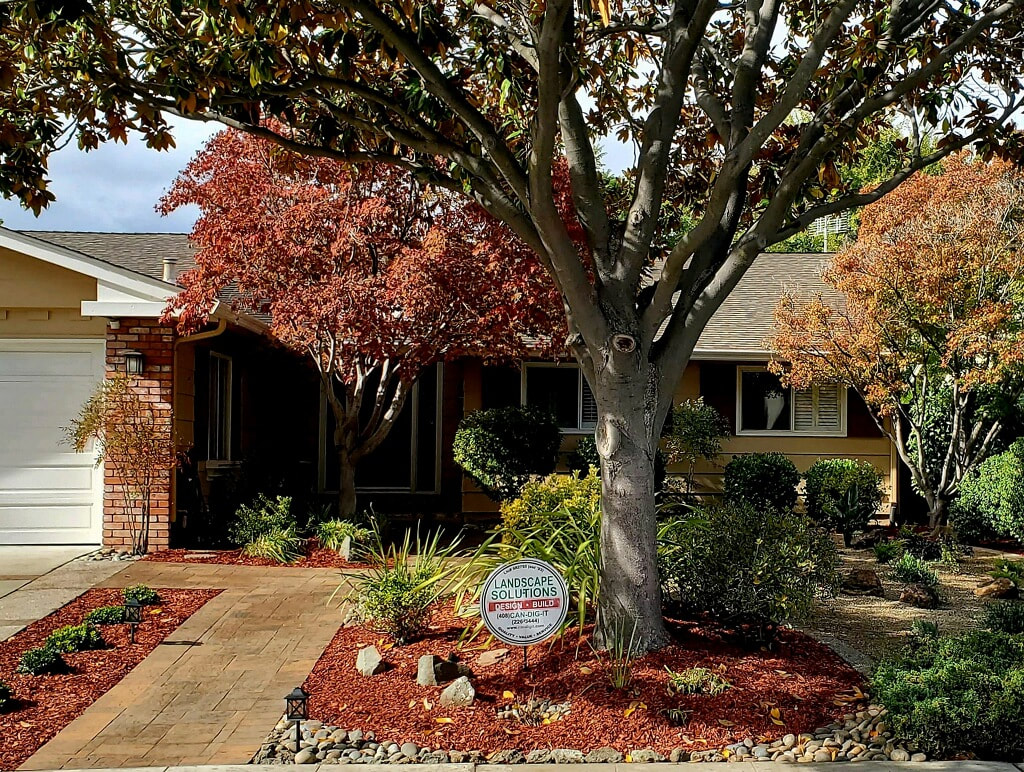 A front yard in Los Gatos, Ca, landscaped with drought friendly landscaping.
