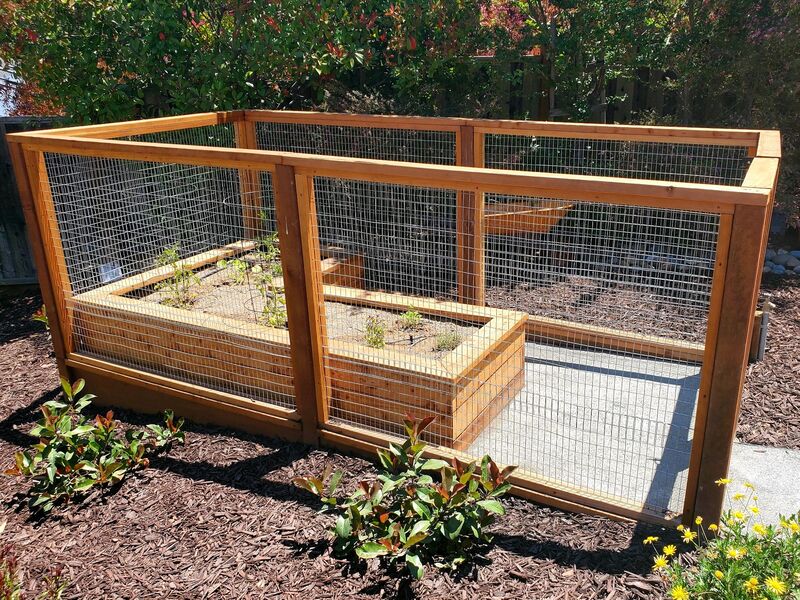 Raised Veg. herb boxes with rabbit fencing.