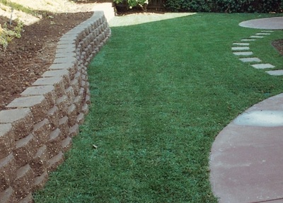 Retainer Wall, grass and stepping stones 