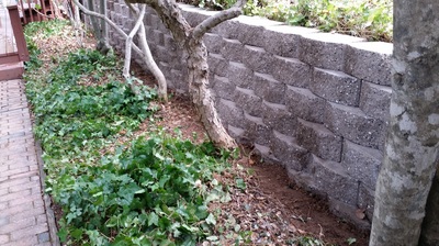 Retainer Wall