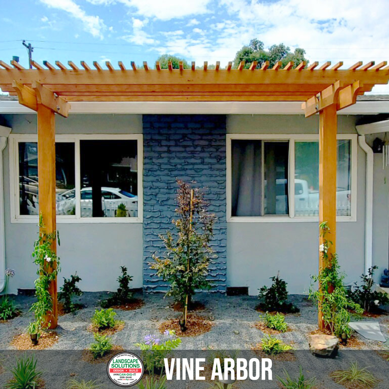 Entry Vine Arbor and plantings
